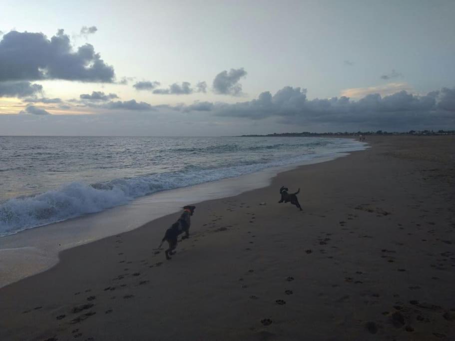 Precioso Apartamento A 50 Metros De La Playa Rincón de la Victoria Esterno foto